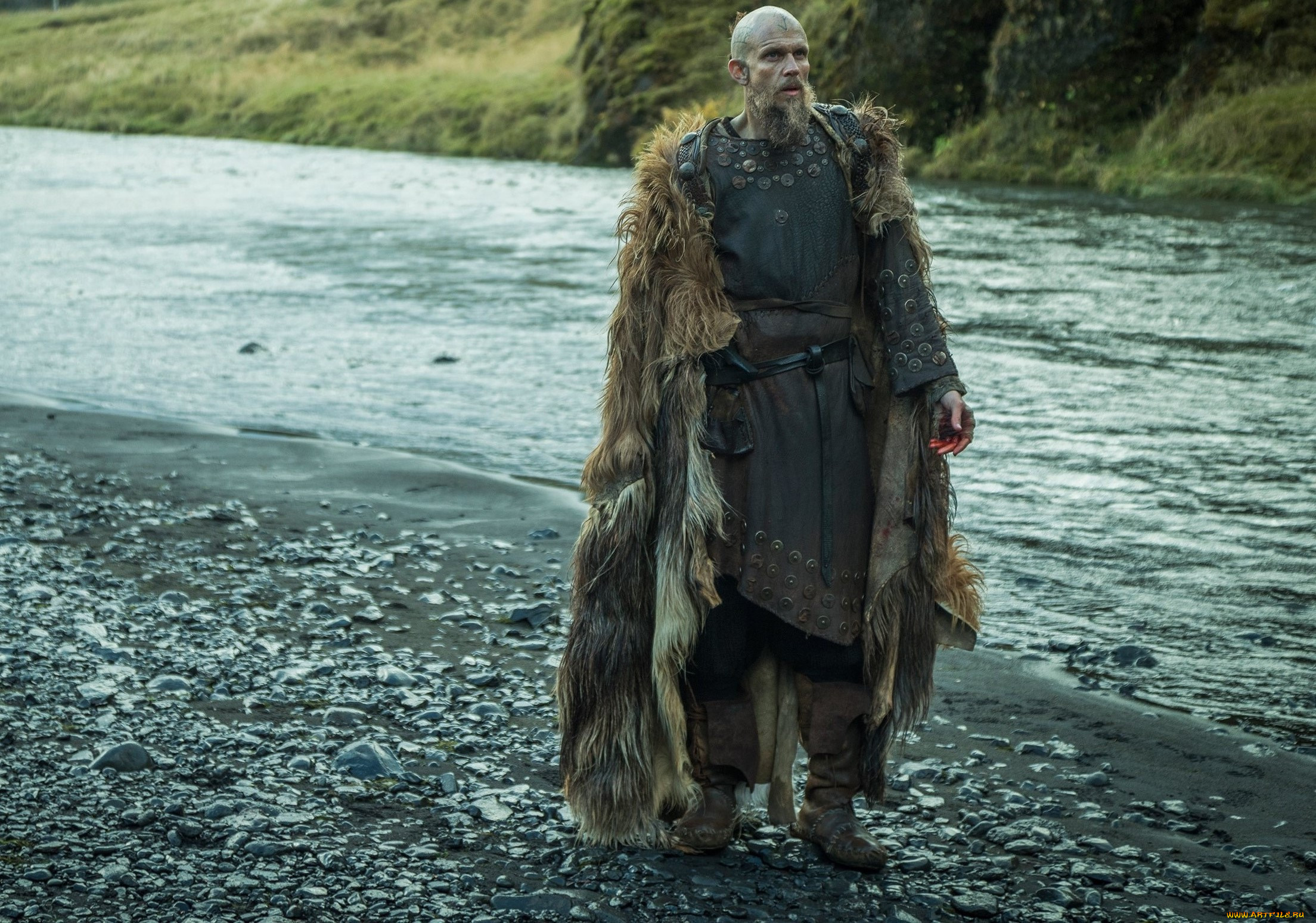  , vikings , 2013,  , vikings